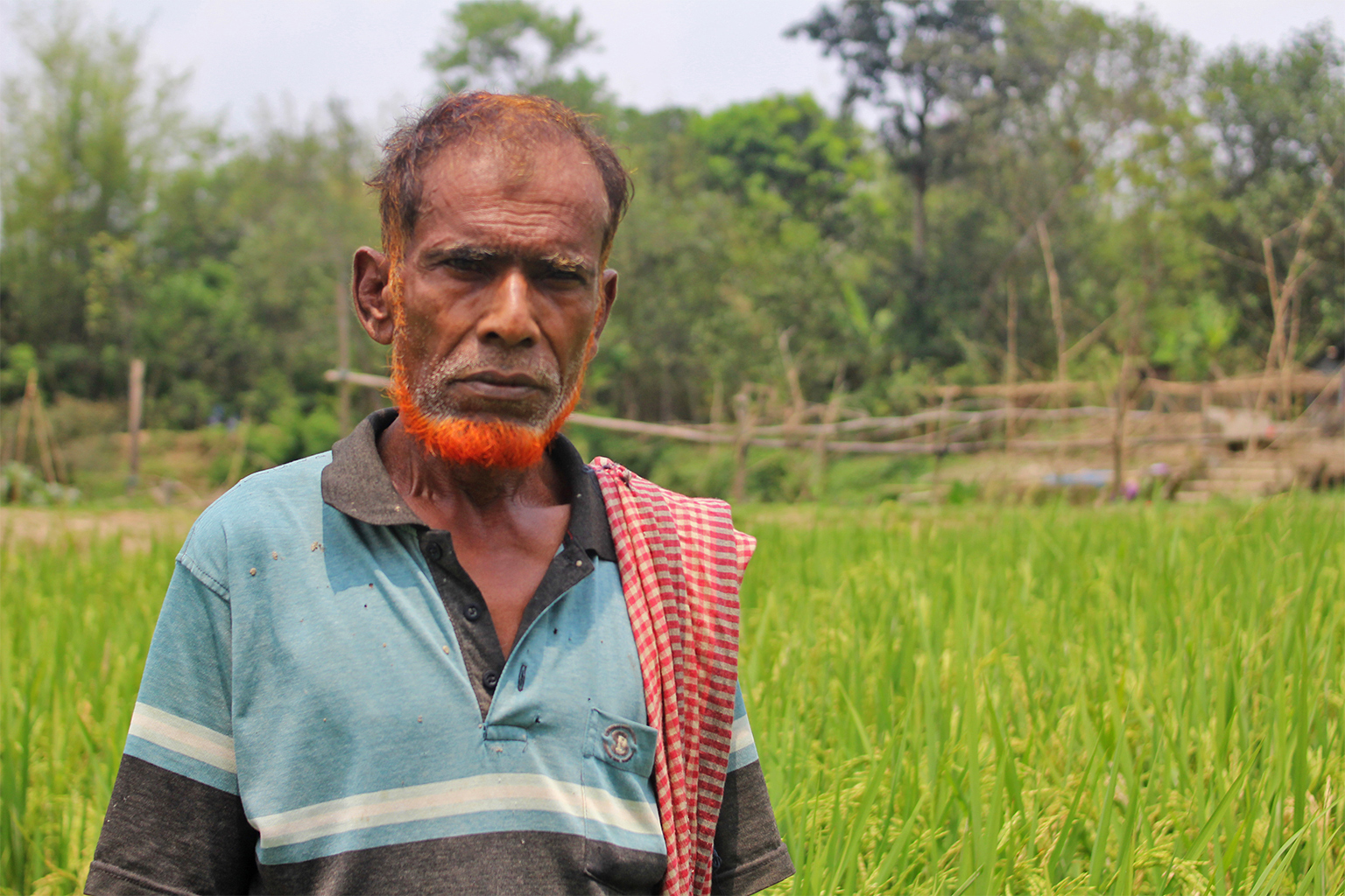 Monu Miah is among the many local farmers who hold the perception that the polluted water doesn’t affect their crops in a bad way.