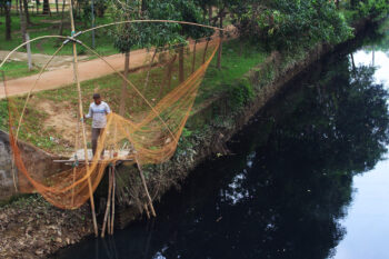 Year-round, the Katakhal carries pitch-black water to the Akhaura locality. A fisher sets up his fishing net.