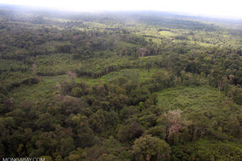 Patchwork of cassava fields, regenerating secondary forest, and natural forest in the Amazon. Image by Rhett A. Butler/Mongabay.