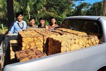 Latex collected from the trees is pressed and formed into blocks, which are easier to transport from the territory.