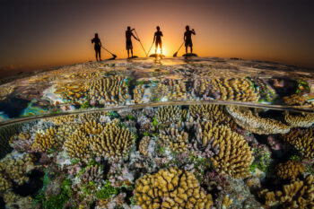 Paddle boarders over a coral reef in Indonesia.