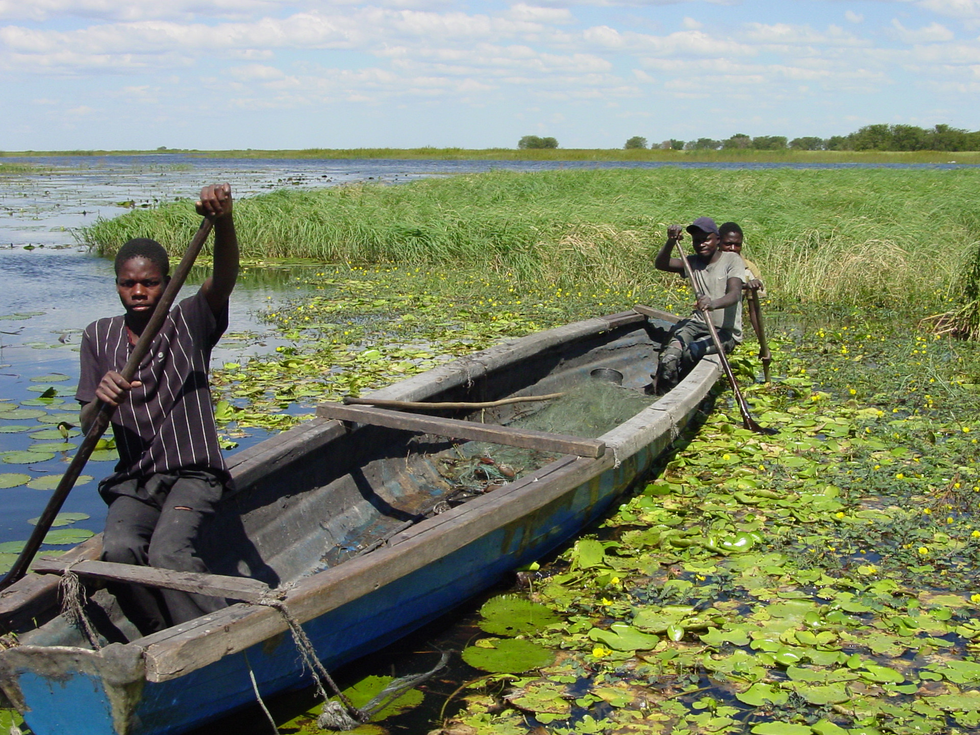 The proliferation of invasive crayfish throughout the Kafue River system is displacing native tilapia and affecting the livelihoods of fishers like these men pictured in 2001.