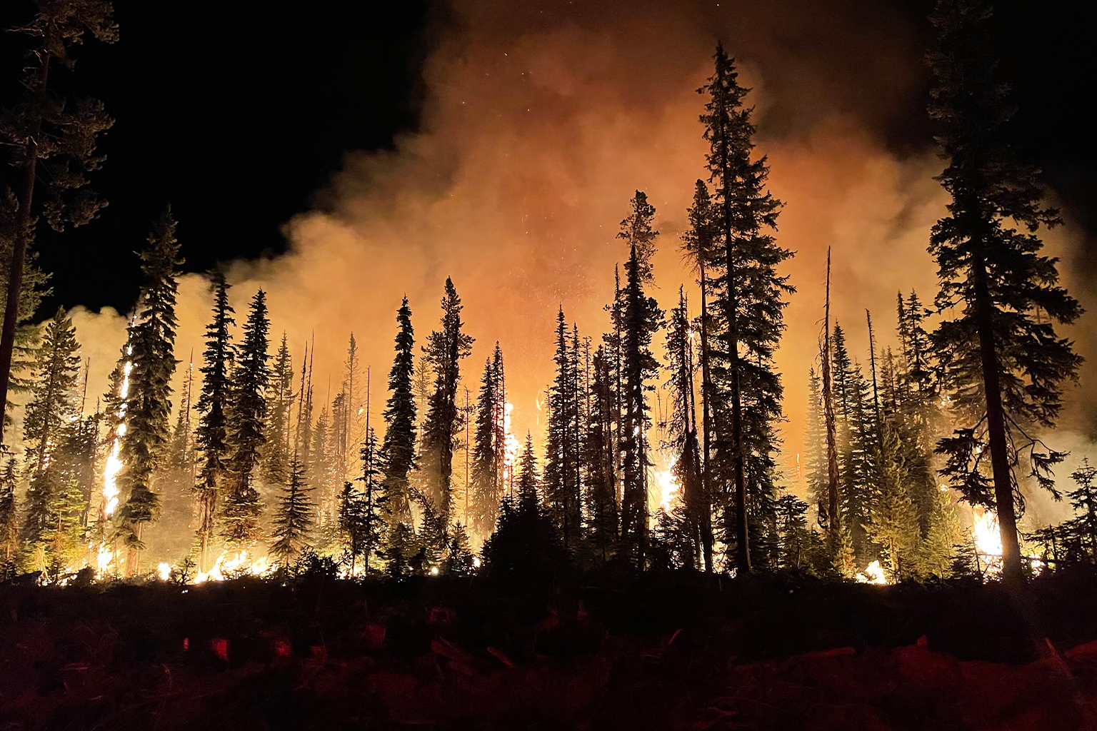 Wildfires are increasing in number and intensity across the world, and their smoke is especially threatening children’s health.