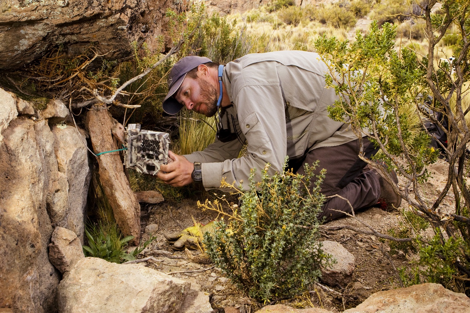 Researcher Juan Reppucci sets up a camera trap. These traps are prone to battery failures due to the intense cold of the Andes region.