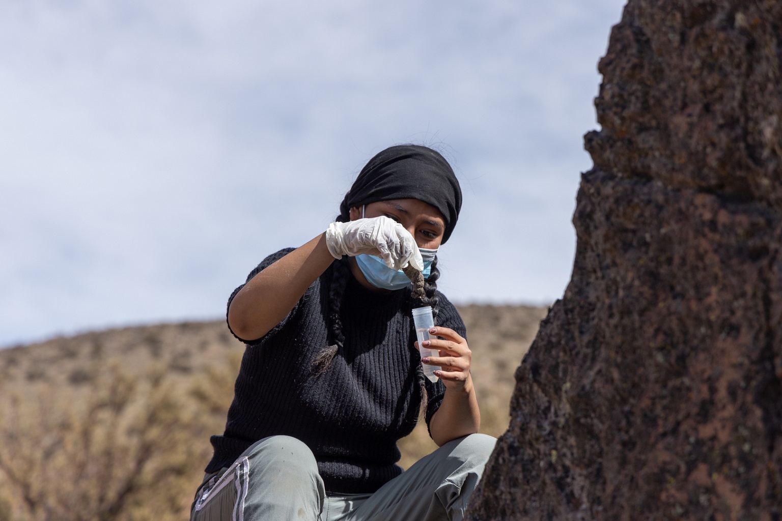 AGA field teams collect Andean cat feces for DNA sampling. Research has shown that Andean cats have low genetic diversity. Scientists are now utilizing genetic data to ascertain whether individual populations are connected or isolated.