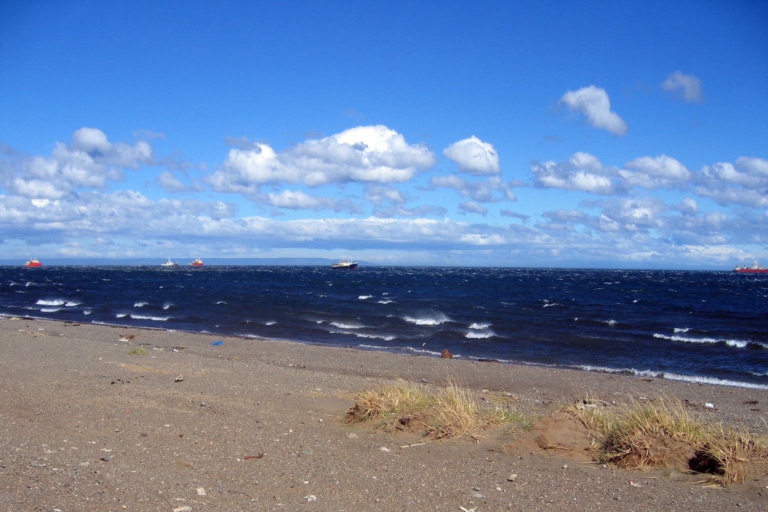 A beach near Punta Arenas in the Strait of Magellan, in far southern Chile.