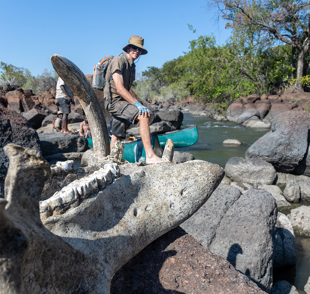 Mongabay correspondent Ryan Truscott stands near an old hippo jawbone washed up on some rocks in the middle of the Mayukuyuku rapids.