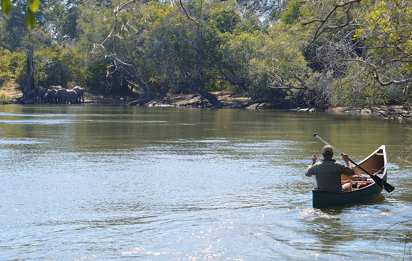 Kyle Gordon, a leader with TWP, heads out to get a closer look at a herd of elephants drinking at a quiet spot along the water’s edge below the Mayukuyuku rapids.