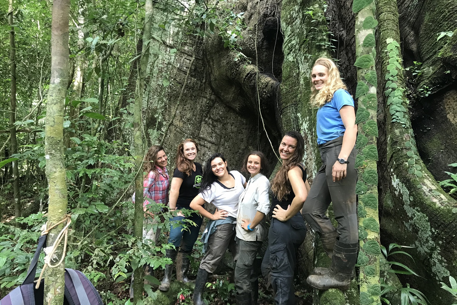Members of TropiRoot, a group of international root experts, during a workshop in Panama.