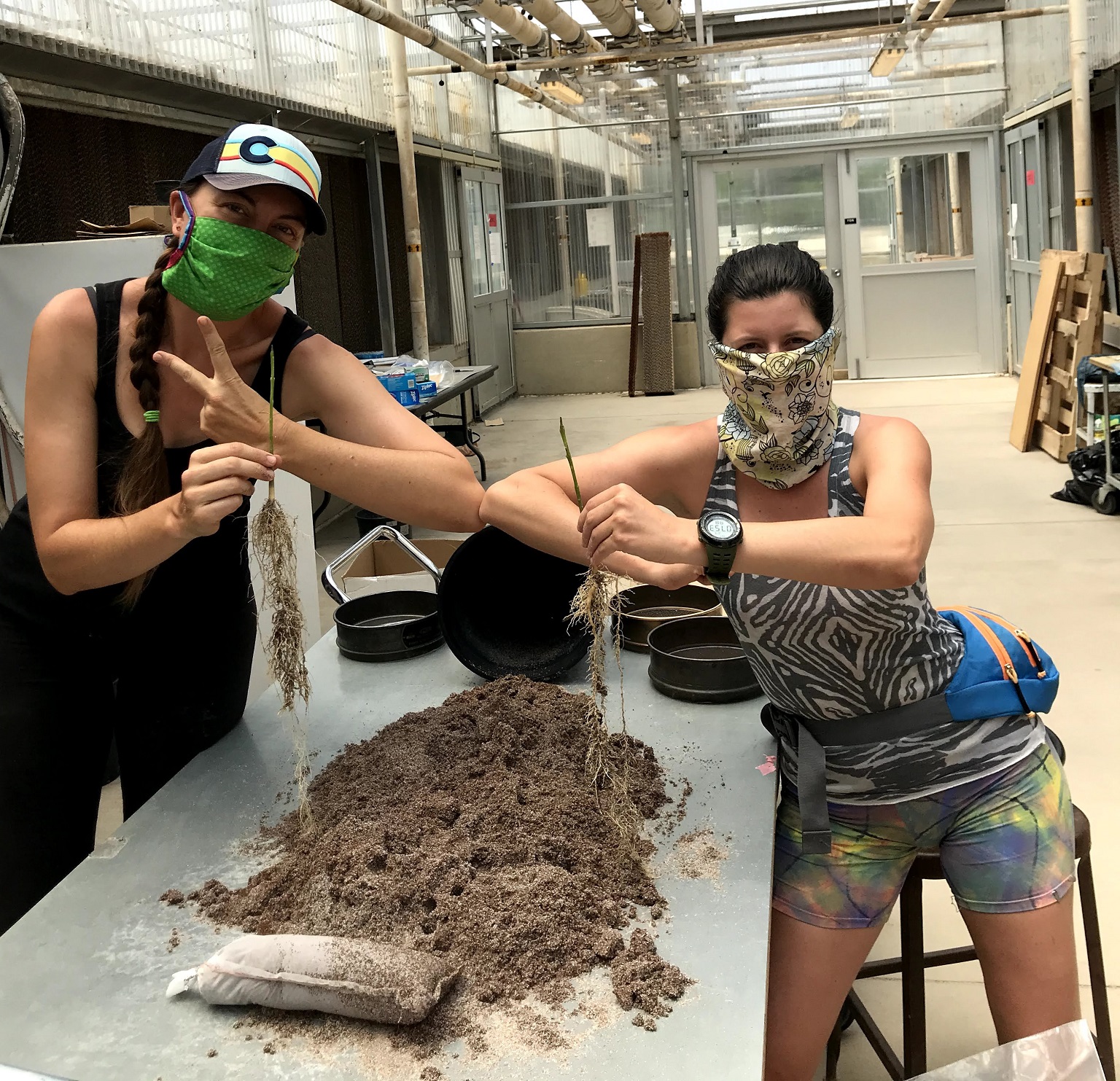 Studies by researchers Daniela F. Cusack (left) and Amanda L. Cordeiro are confirming the stress that tropical rainforests are under, as global changes that are occurring above ground filter underground to root systems. Their findings could help inform the management and conservation of tropical rainforests.