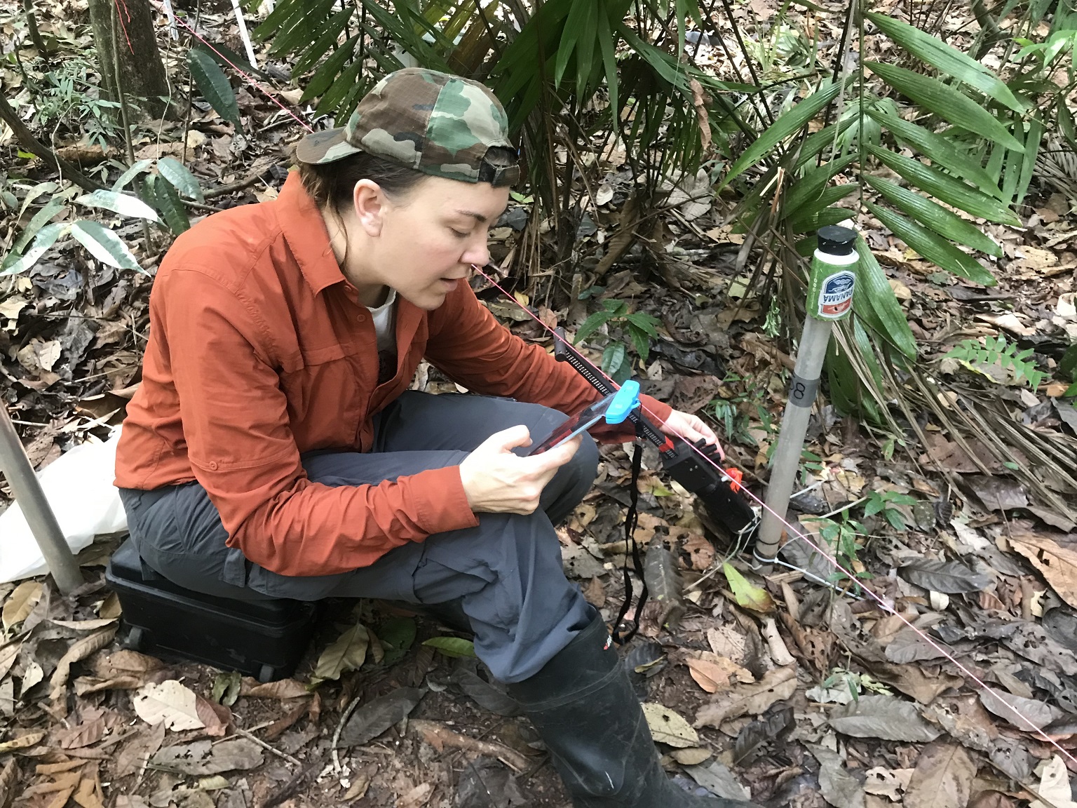 The hidden world of plant roots is not yet well understood, but important clues are emerging. Some of the work Daniela F. Cusack (seen here) has been involved in, includes studies of root dynamics in Panama’s tropical forests.