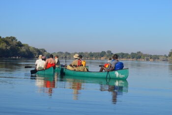 While navigating the Kafue River inside the national park, the team regularly pauses to deliberate on the best route to take around hippos that block their way.