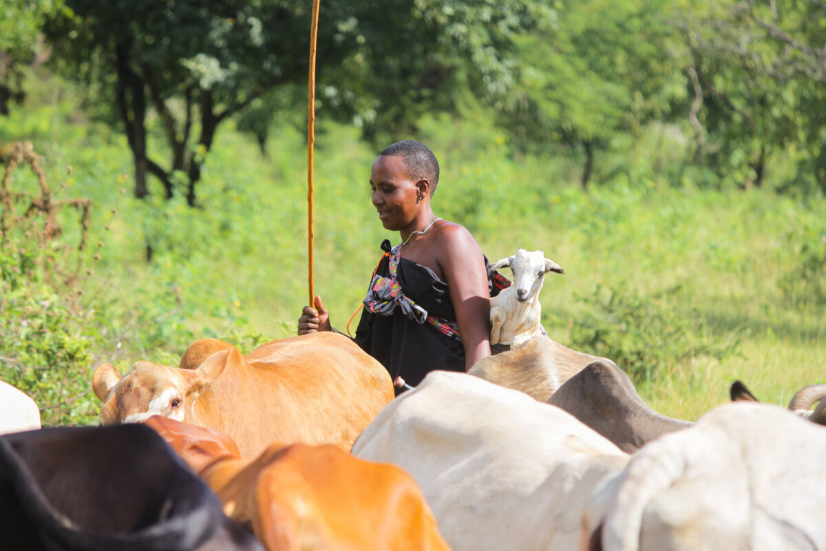 Abuses continue at Tanzanian national park, US human rights group says