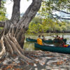 The Wilderness Project team stops to conduct research on the island, surrounded by the waterberry trees’ fluted trunks.