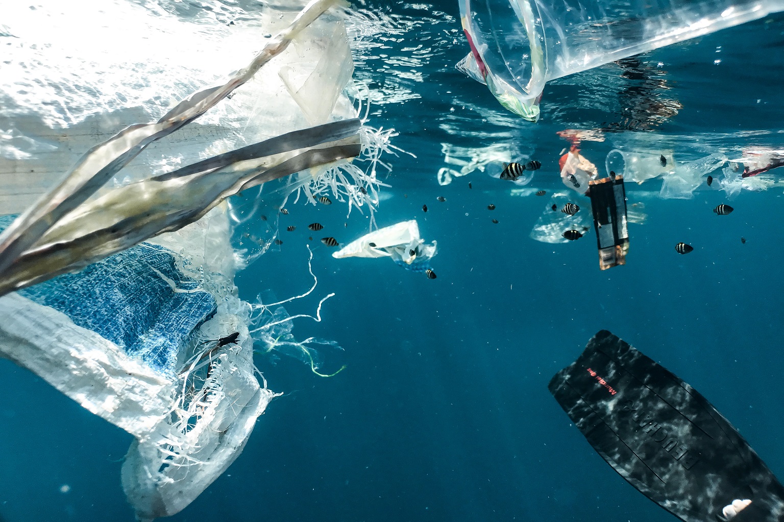 Fish swim in a sea of plastic waste. Iconic images of plastic polluting the world’s oceans are attention grabbing, says Bowyer, but they only tell part of the story. For many communities worldwide, burning plastic waste is the only currently viable solution.