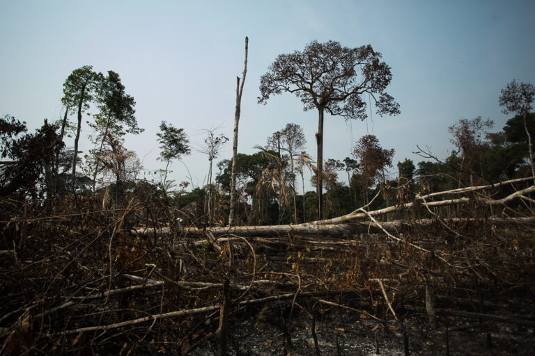 Area of burned forest in ​​the city of Apuí, Amazonas state. Image by Bruno Kelly/Amazônia Real via Wikimedia Commons. (CC BY-SA 4.0).