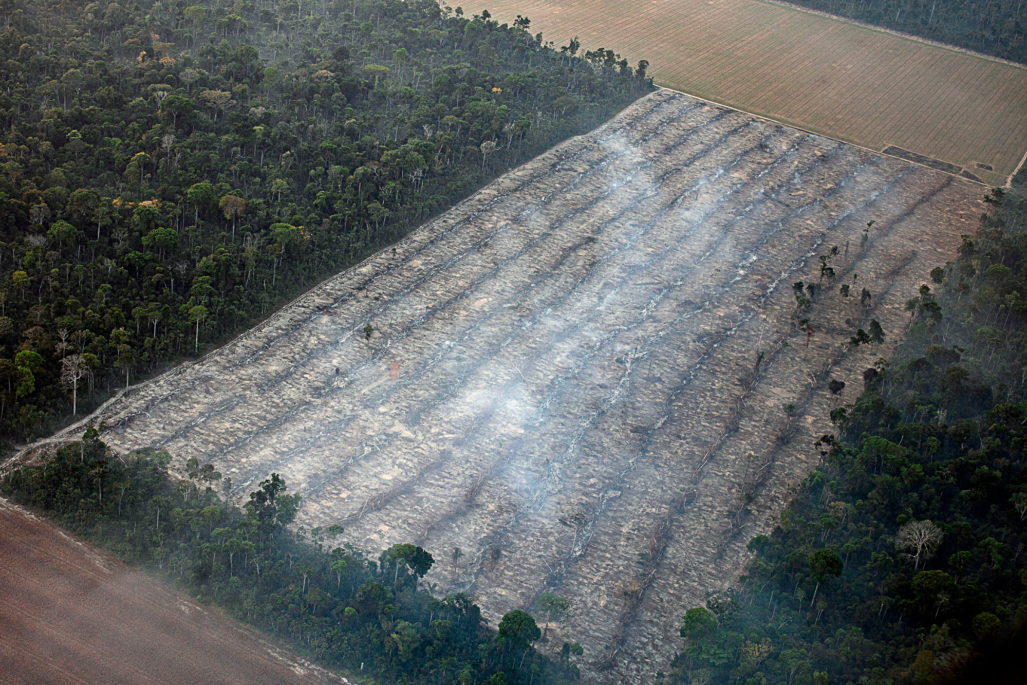 Aerial photo captures a combination of fire and deforestation in areas near an Indigenous land in the state of Pará. Image by Marizilda Cruppe/Amazônia Real via Wikimedia Commons. (CC BY-SA 4.0).(Foto Marizilda Cruppe/Amazônia Real/Amazon Watch/17/09/2020).