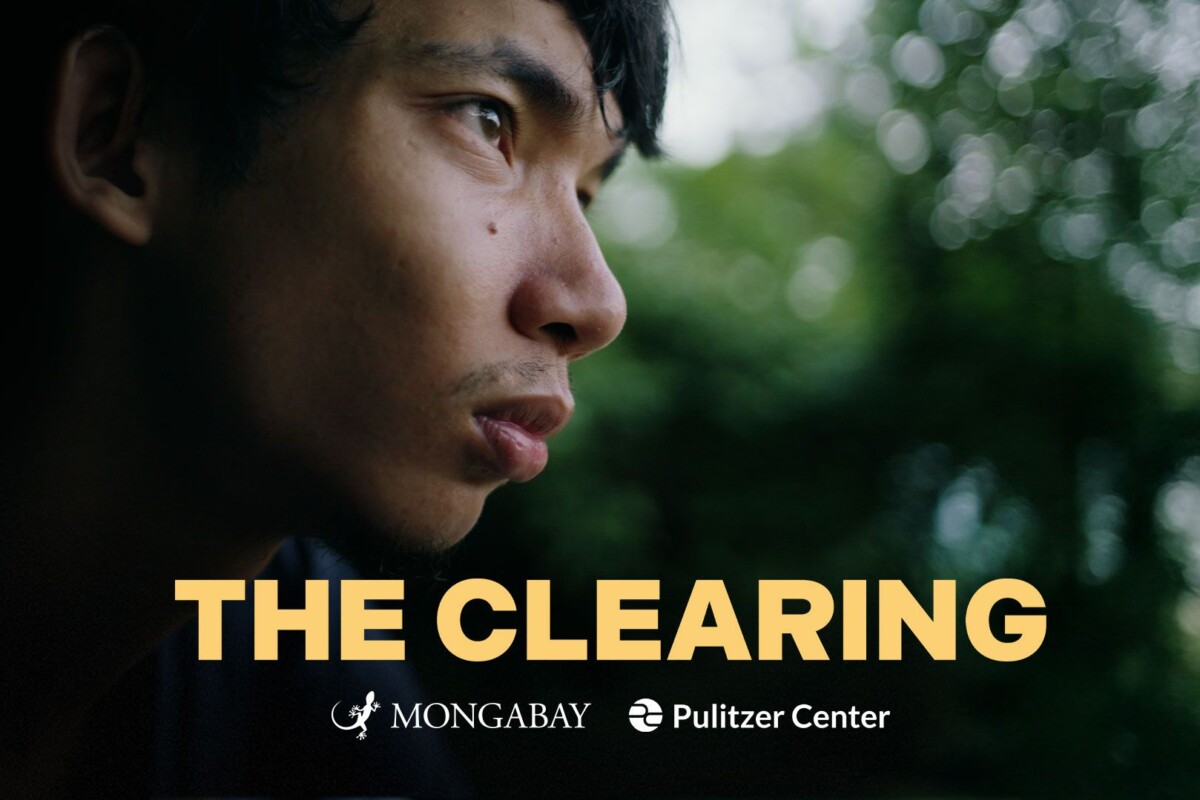 The price of protecting what’s left in Cambodia