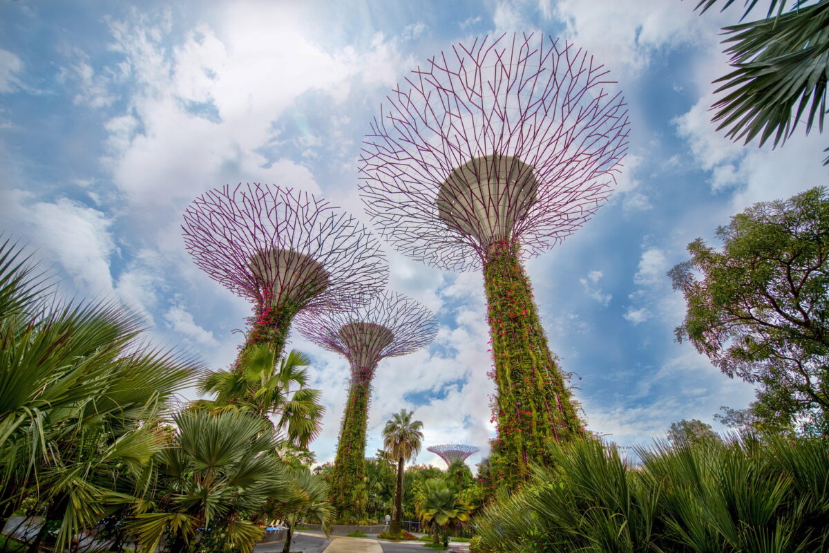 Singapore’s regreening is a model for cities everywhere