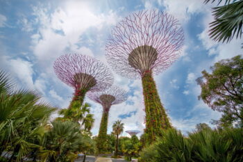 Supertree grove is part of the Gardens by the Bay (GBTB) urban park in Singapore, covering 105 hectares (260 acres). Image by Tien Tran (tientran0019) via Pixabay (Pixabay Content License).