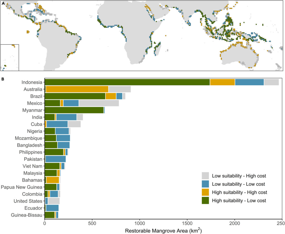 The 20 countries with the greatest area of potential mangrove restoration. Image by Goto et al., 2025 (CC BY 4.0).