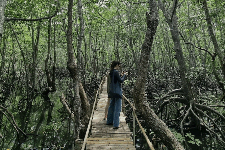 Mangrove forest in the Philippines. Image courtesy of the National Blue Carbon Action Partnership (NBCAP).