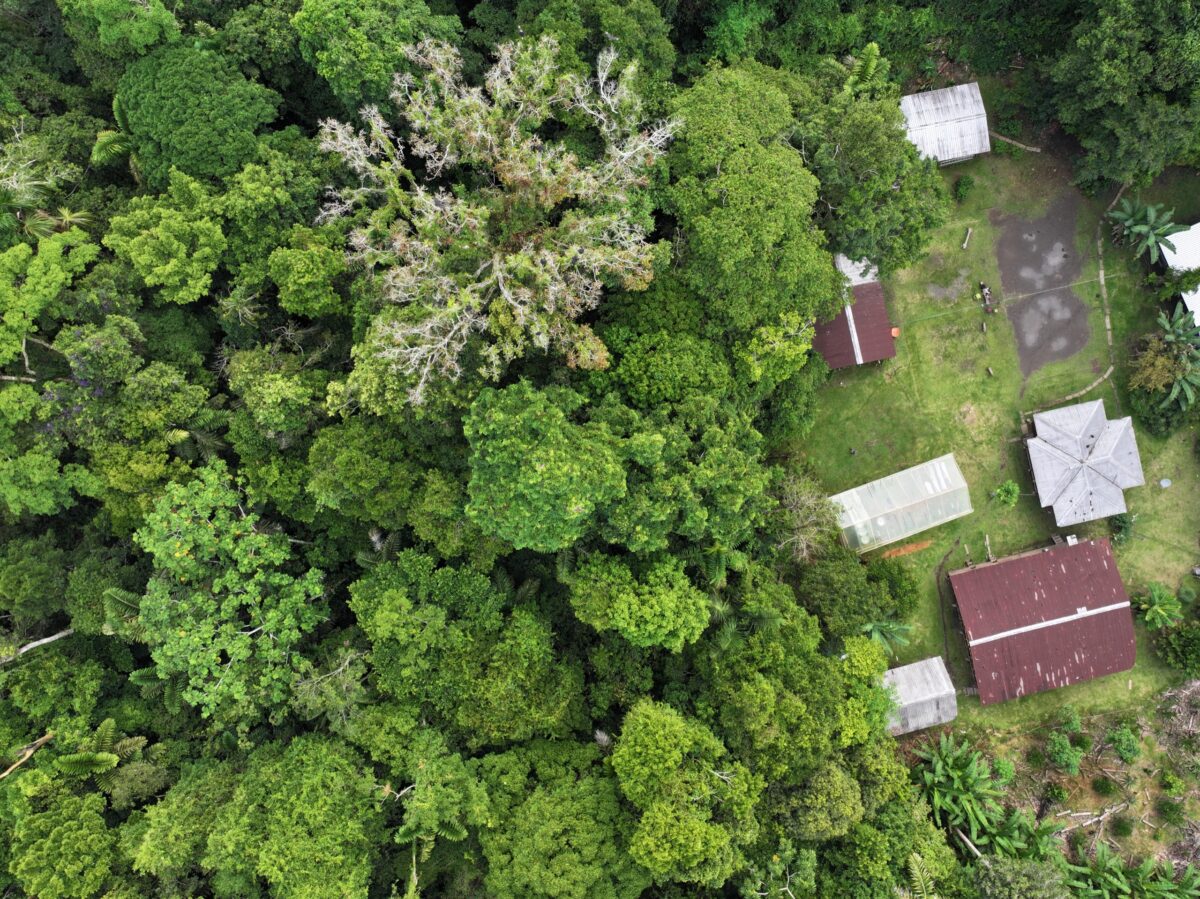 An Indigenous village in the Amazon rainforest.