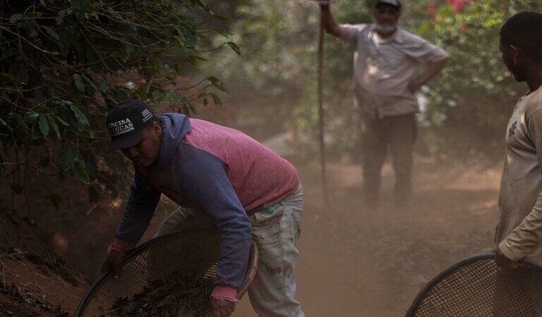 Sifting coffee beans in Porciuncula, Rio de Janeiro state, Brazil. (AP Photo/Bruna Prado)