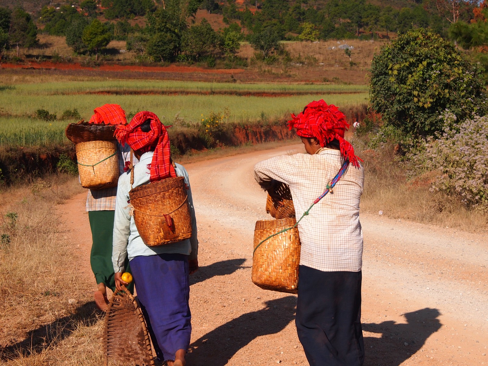 Pa-O women in Myanmar walking together carrying traditional baskets.