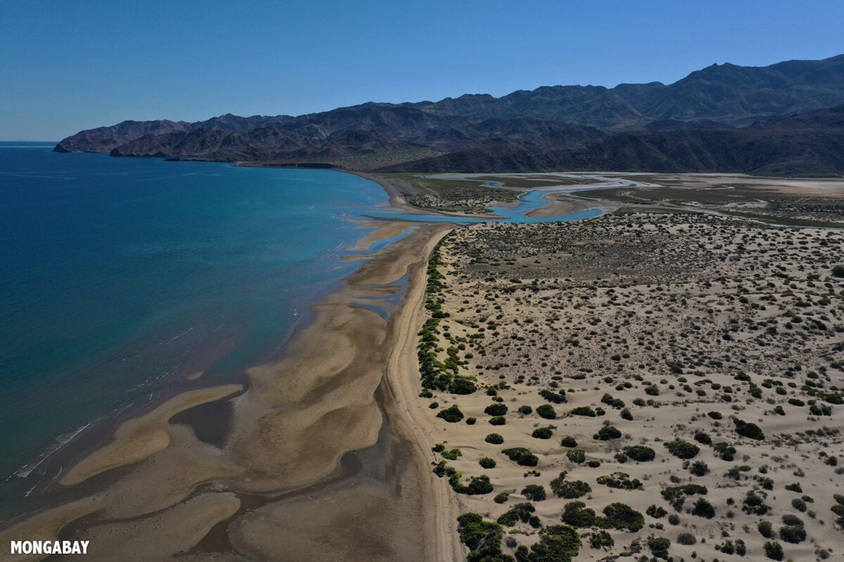 Coastline in Baja California. Photo by Rhett Ayers Butler.
