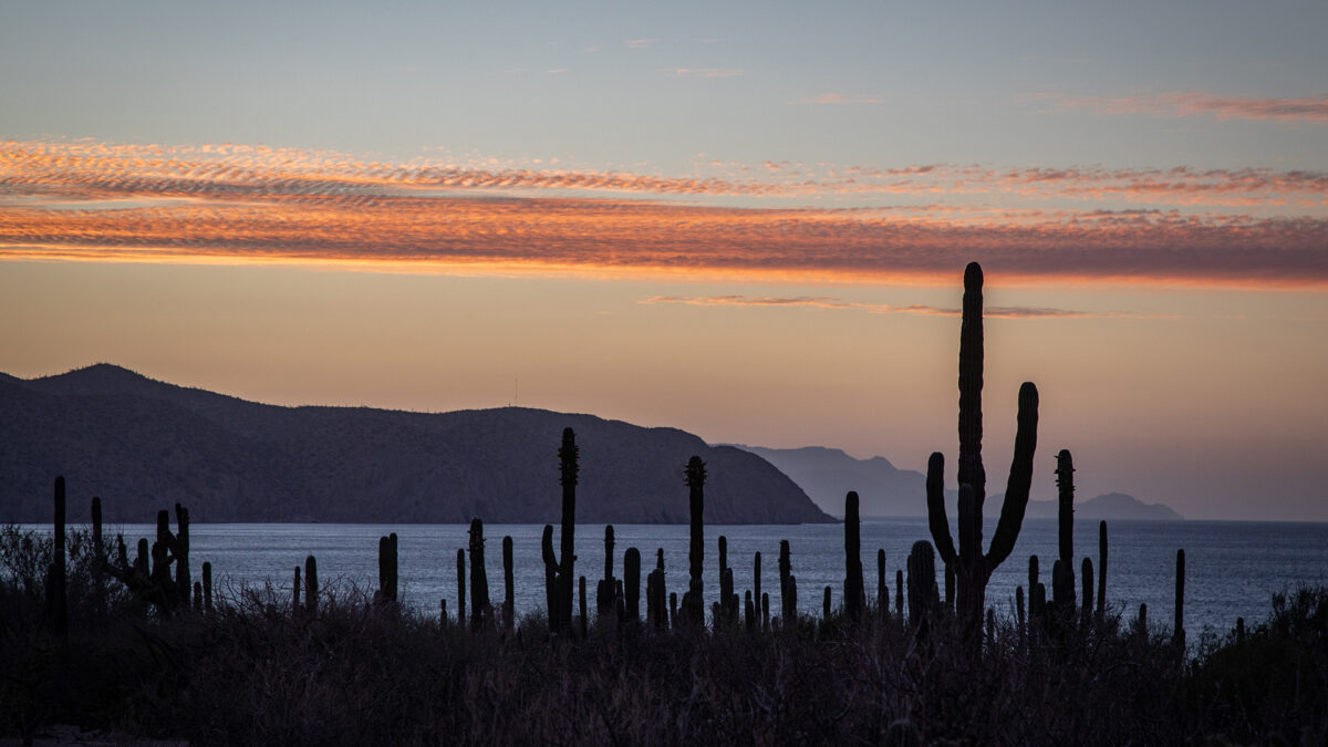 Baja California landscape. Photo courtesy of Legacy Works.