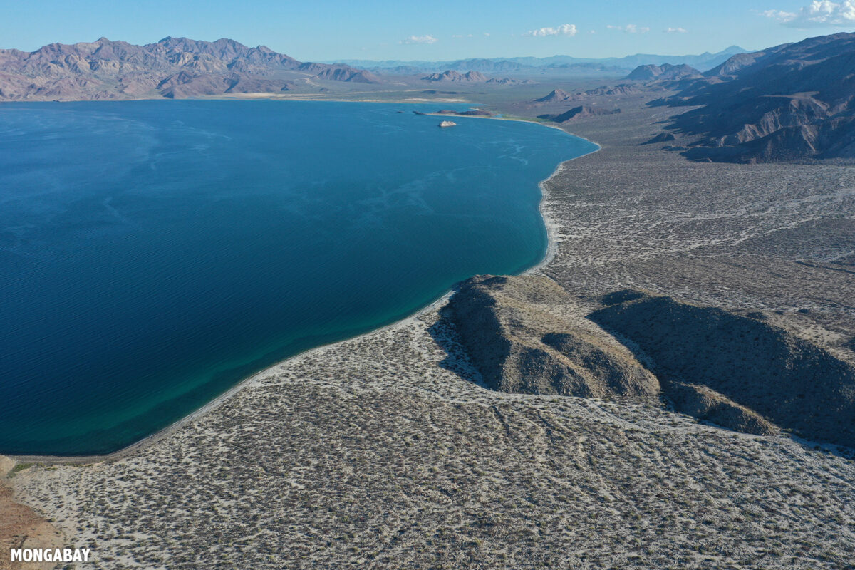 Coastline in Baja California. Photo by Rhett Ayers Butler.
