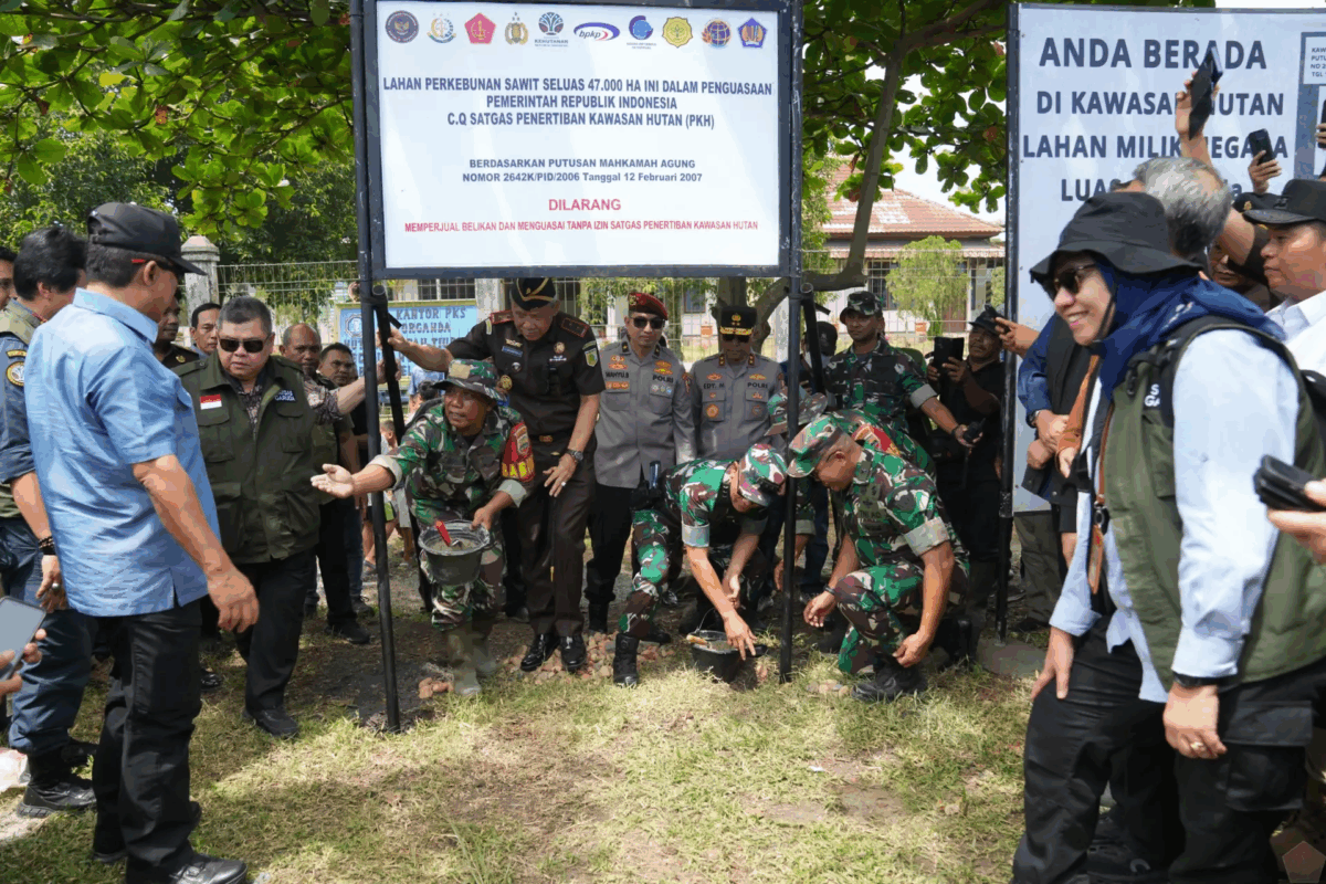 As Indonesia reclaims forests from palm oil, smallholders bear brunt of enforcement