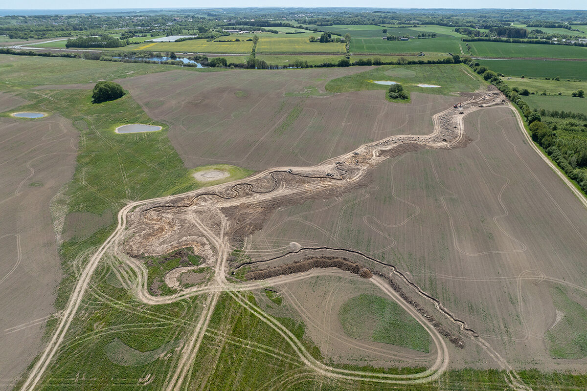 Ambitious Denmark project starts farm-to-forest conversion