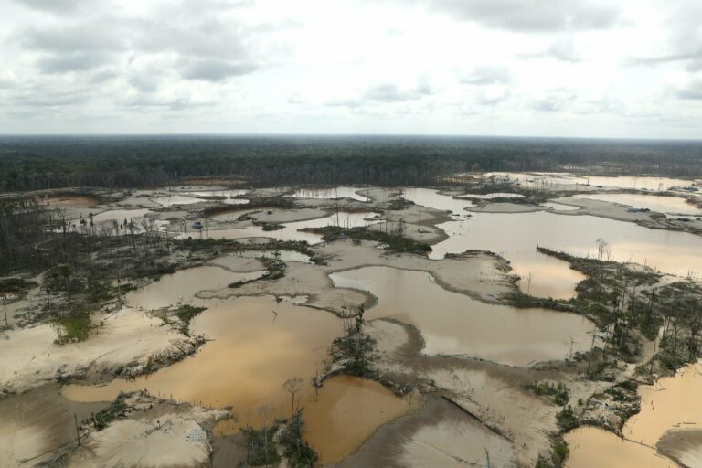 Peruvian jungle devastated by wild cat gold miners in Madre de Dios, Peru. (Guadalupe Pardo/Pool Photo via AP)