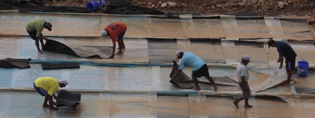 Mexico’s rising mercury trade fuels toxic gold mining in Latin America: Report