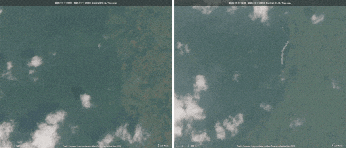 Satellite images of forest loss inside Kahuzi Biega National Park, Democratic Republic of Congo. (Left to right) 1. Forest loss near the Bugarama and Kasopo villages in Kabare territory between Jan. 11, 2025, and Jun. 25, 2025. 2. Forest loss near Muhonga village in Kabare territory between Jan. 11, 2025, and Jun. 25, 2025.