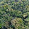 The Amazon Rainforest in Brazil. Image by Rhett A. Butler/Mongabay.