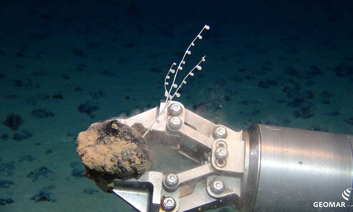 UN meeting closes with no moratorium on deep-sea mining; groups lament