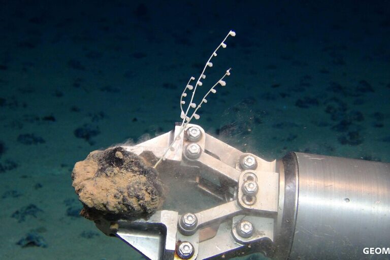 Banner image of a remotely operated vehicle KIEL 6000 holding a manganese nodule in the sought-after Clarion-Clipperton Zone by the ROV-Team/GEOMAR via Wikimedia Commons (CC BY 4.0).