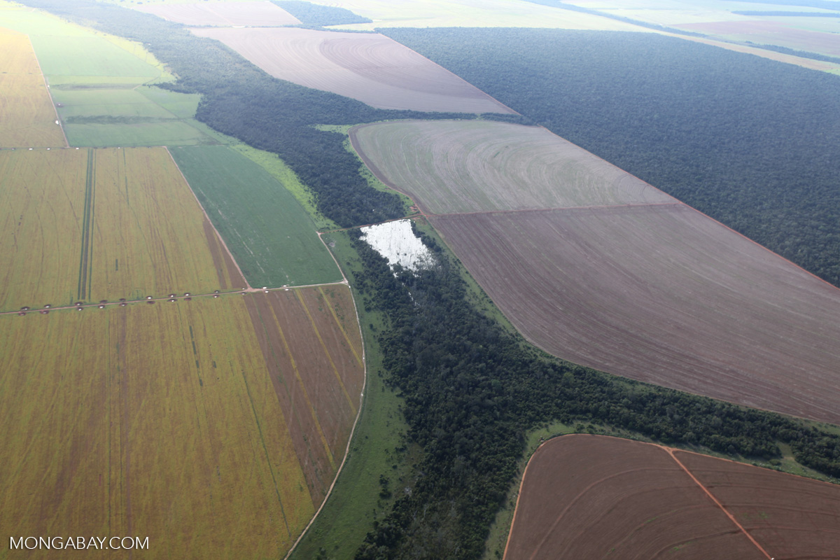 Brazil's land registry holds farmers accountable, but enables deforestation 2 Brazil's land registry holds farmers accountable, but enables deforestation