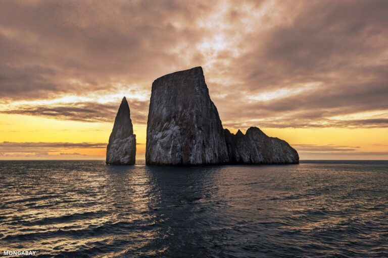 Kicker Rock in the Galápagos, Ecuador. Image by Rhett A. Butler/Mongabay.