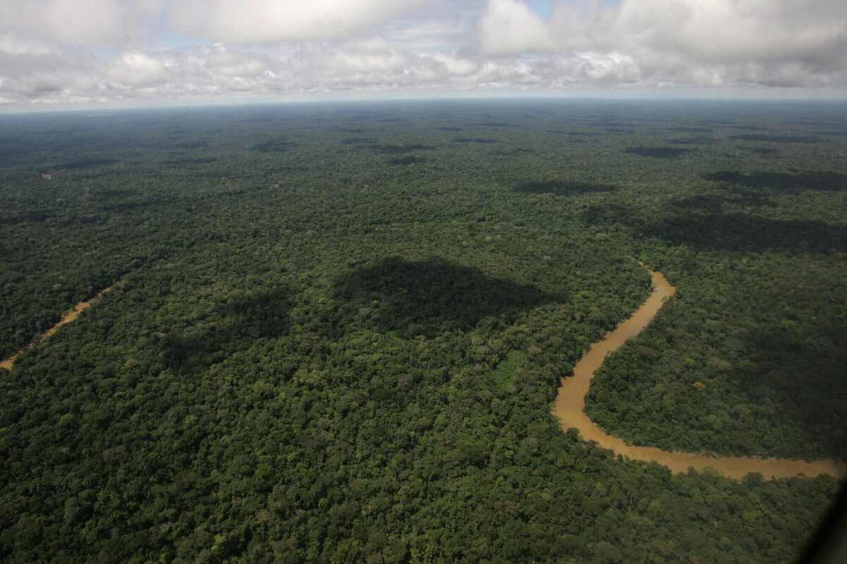photo of In Ecuador, environmentalists worry Noboa is unwinding nation’s green reputation image