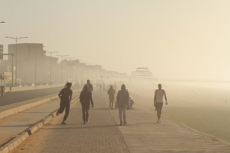 Banner image of smoggy air in Dakar, Senegal, by Issiaga via Wikimedia Commons (CC BY-SA 4.0).