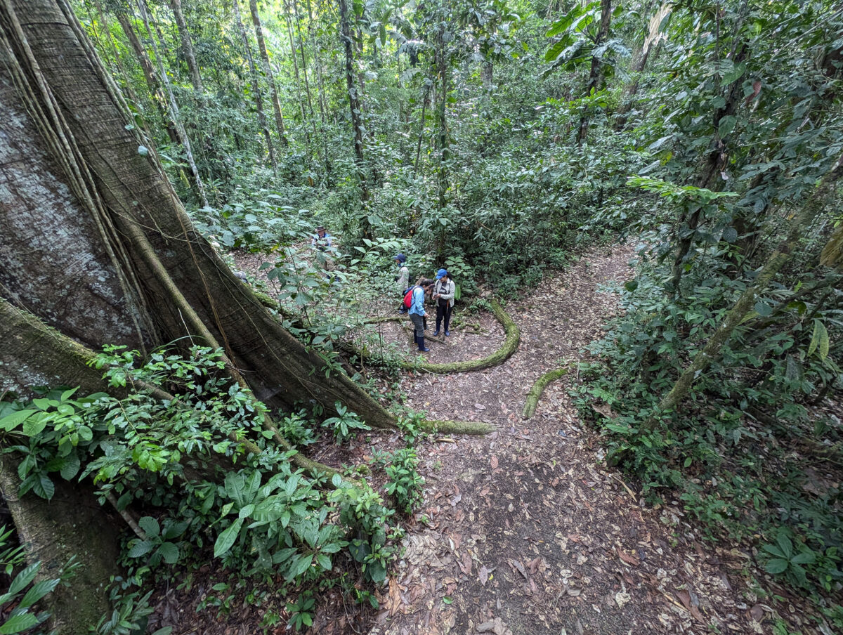 Torres with Alexa Velez in the Amazon in 2024. Photo by Rhett Ayers Butler.