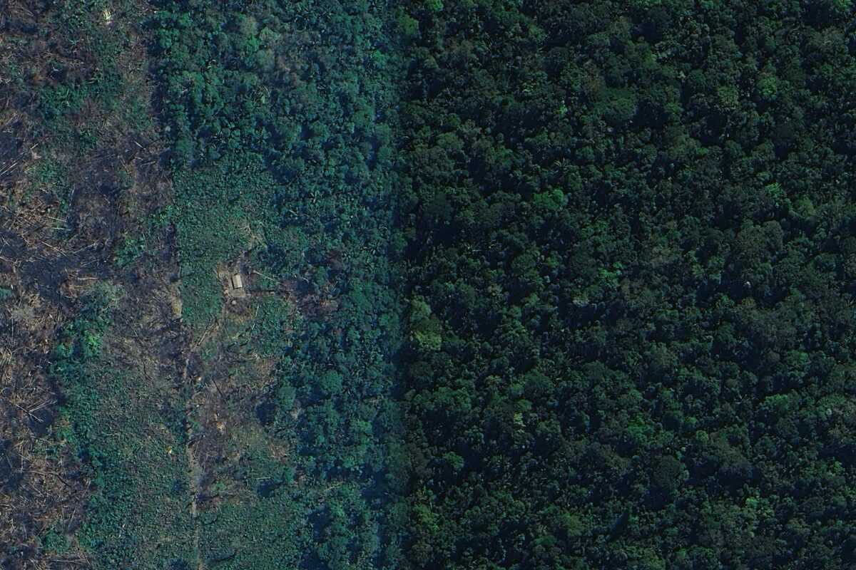 Invasion intensifies on Karipuna Indigenous land in the Brazilian Amazon