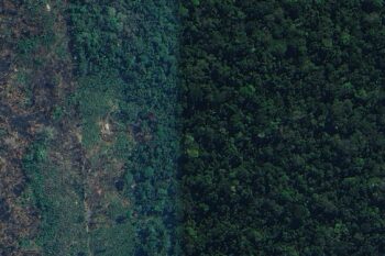 Satellite imagery shows a house and cleared field on Karipuna Indigenous land. Image via Google Earth by Emilie Languedoc/Mongabay.