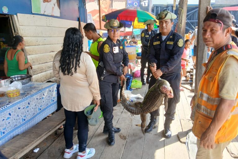 police with crocodile