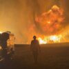 A crew of firefighters fights the Vees Fire near Ten Sleep, Wyoming, in July 2025.