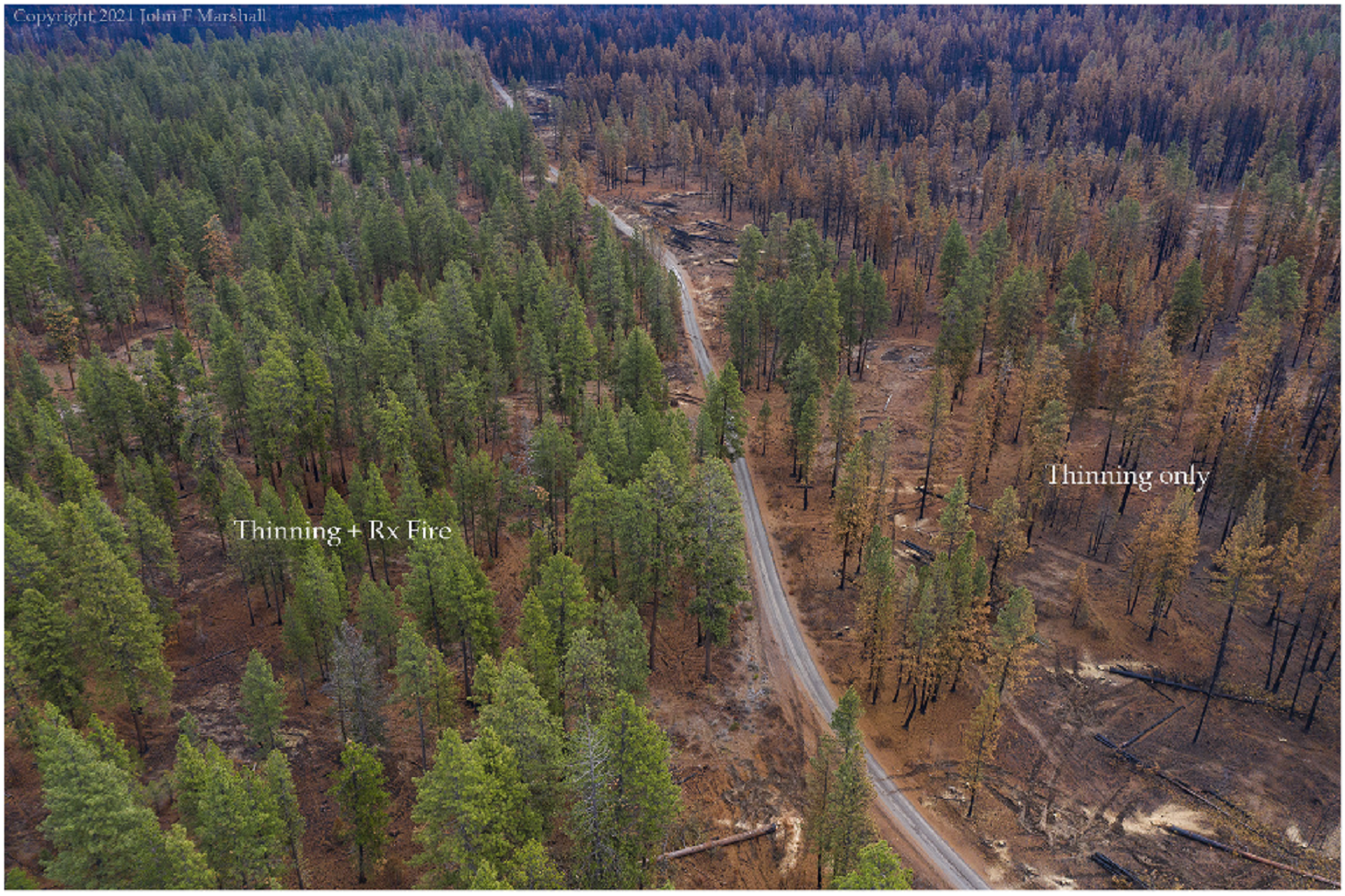 Fixing forests or fueling fires? Scientists split over active management 5 Proponents of active management argue that treating forests with both prescribed burning and thinning can reduce fires’ destructive potential compared to thinning alone.